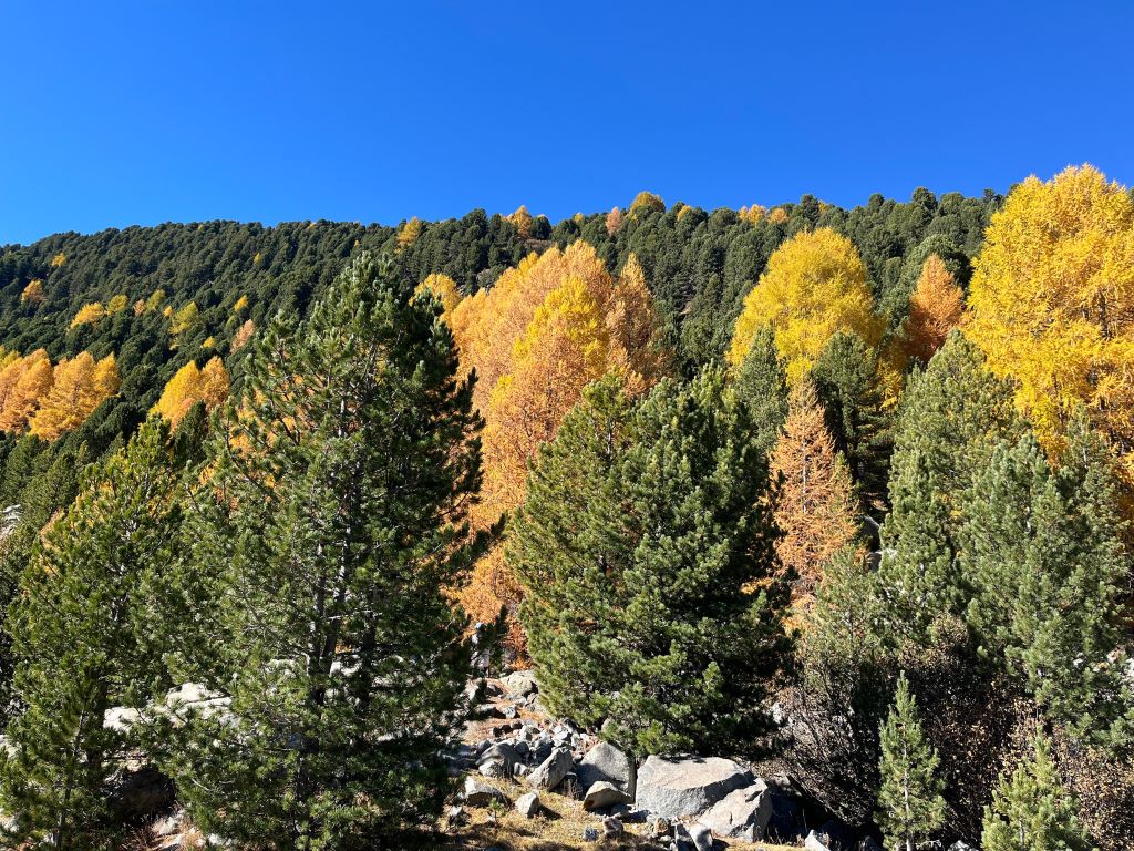 Natur, Freundschaft und Abendteuer im Engadin
