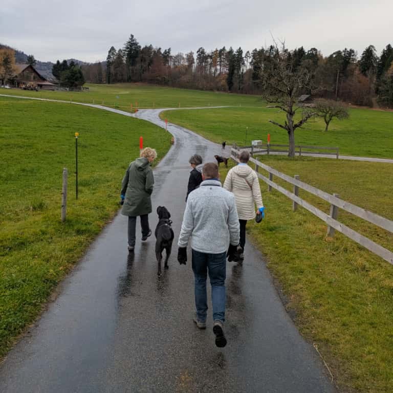 Kreativwerkstatt? Nein, Spaziergang!