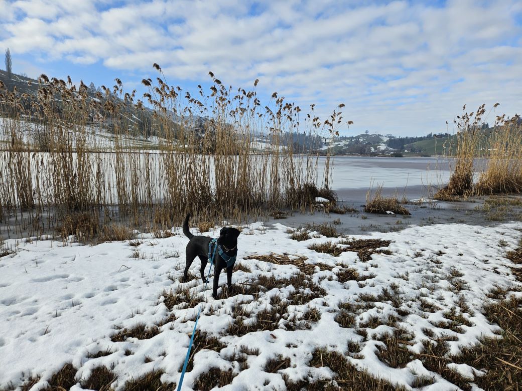 Runde um das schöne Hüttnerseeli