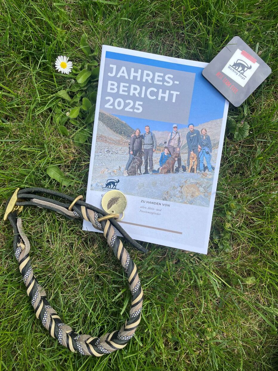Spaziergang, Zmorge und GV